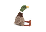 River Mallard Duck
