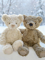 Cocoa Bear